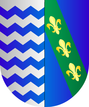 ESCUDO SIGUIENTE